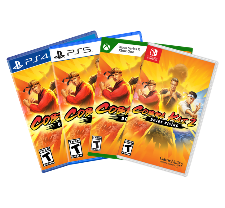 Cobra Kai 2 Dojos Rising, Jogo PS4